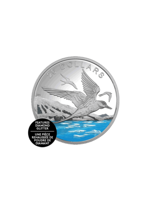 1 oz. Pure Silver Coloured Coin – Glistening North Arctic Tern