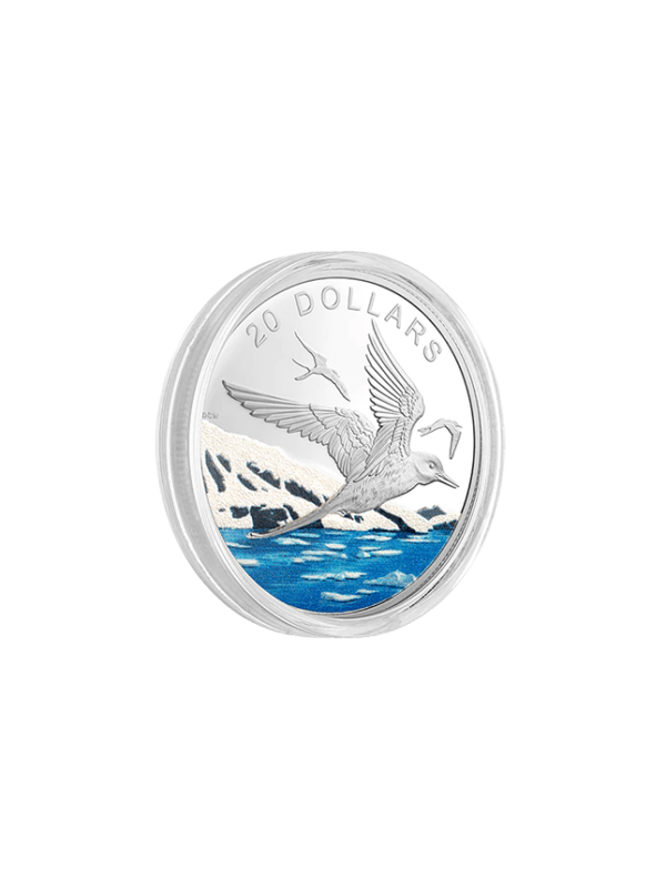 1 oz. Pure Silver Coloured Coin – Glistening North Arctic Tern