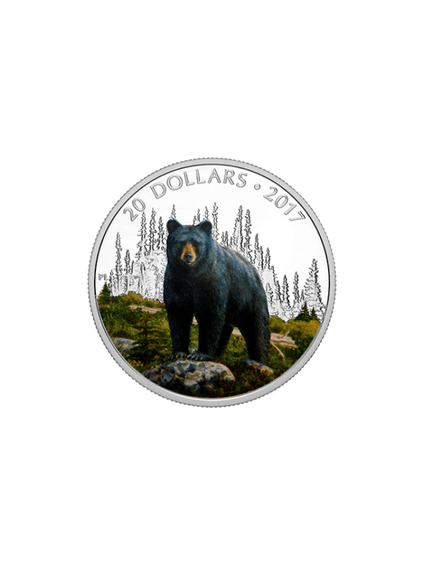 1 oz. Pure Silver Coloured Coin – Majestic Animals The Bold Black Bear – Mintage 6500 (2017)