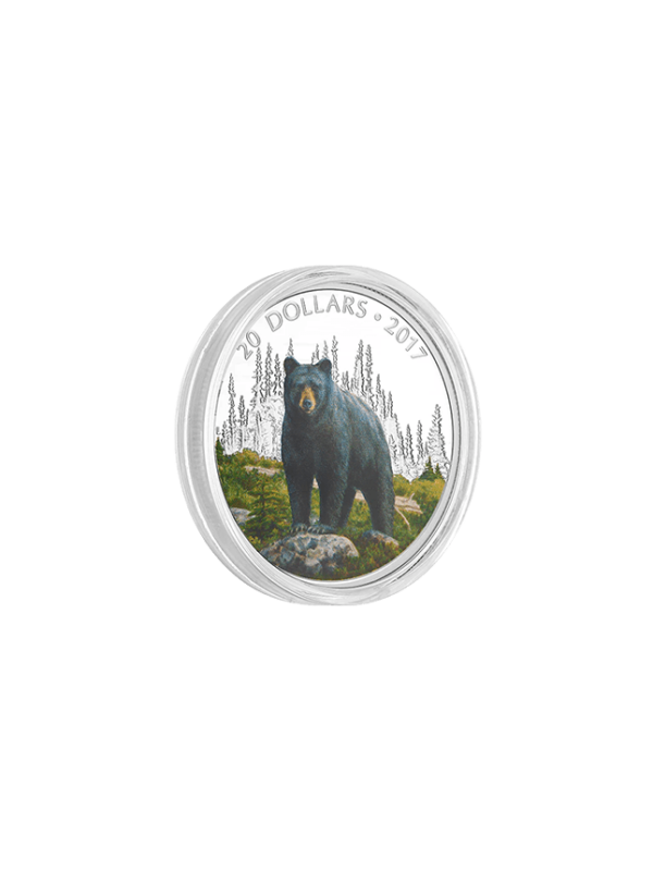 1 oz. Pure Silver Coloured Coin – Majestic Animals The Bold Black Bear – Mintage 6500 (2017)