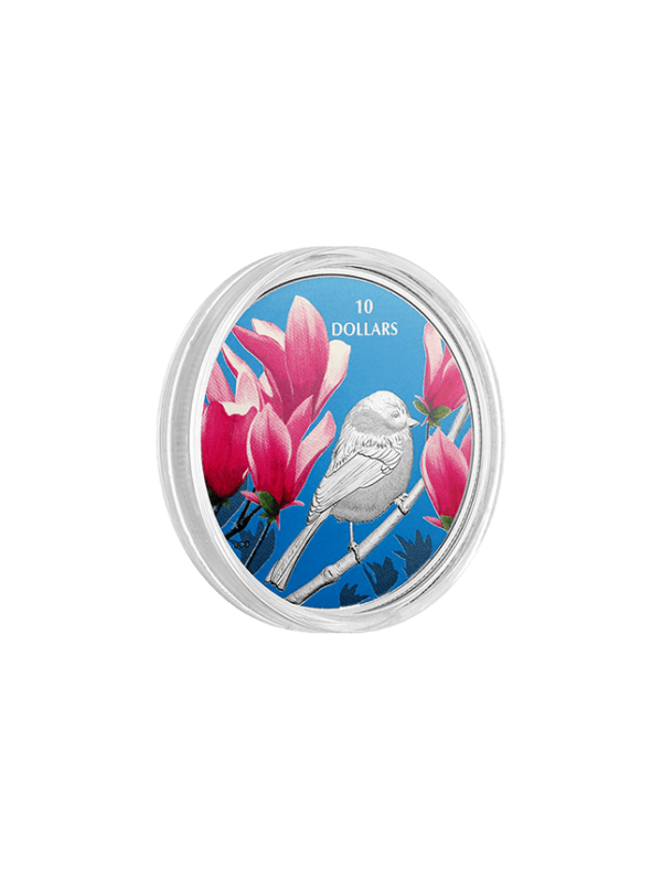 1/2 oz. Pure Silver Coloured Coin - Birds Among Nature's Colours Chickadee