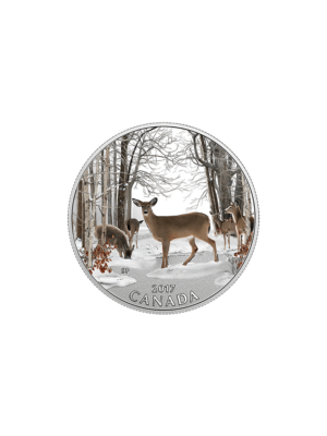 1/2 oz. Pure Silver Coloured Coin - Iconic Canada Spring Sightings