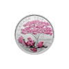 Fine Silver Coloured Coin – Celebration of Spring Cherry Blossoms – Mintage 6,500