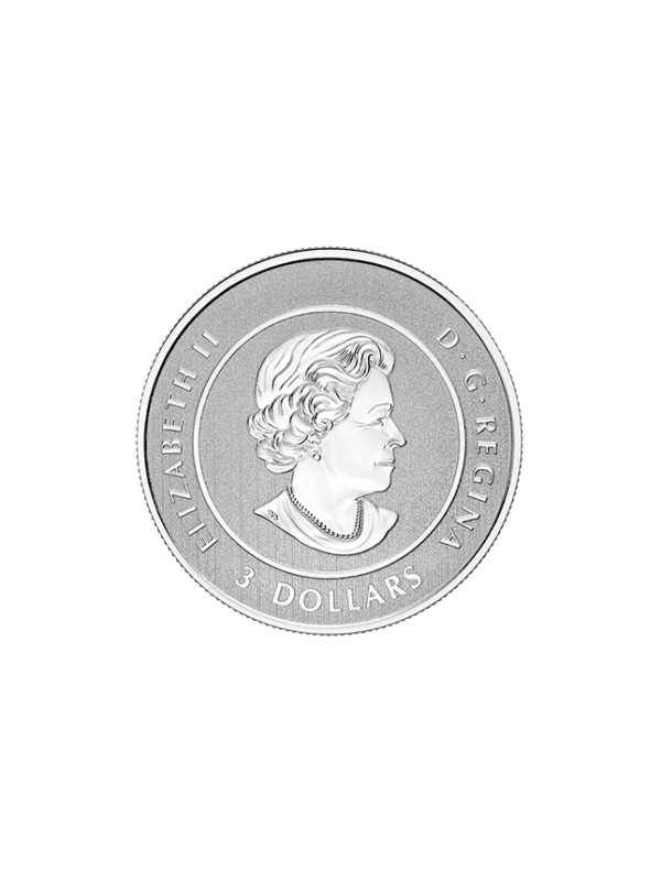 Pure Silver Coin – Heart of Our Nation 2017