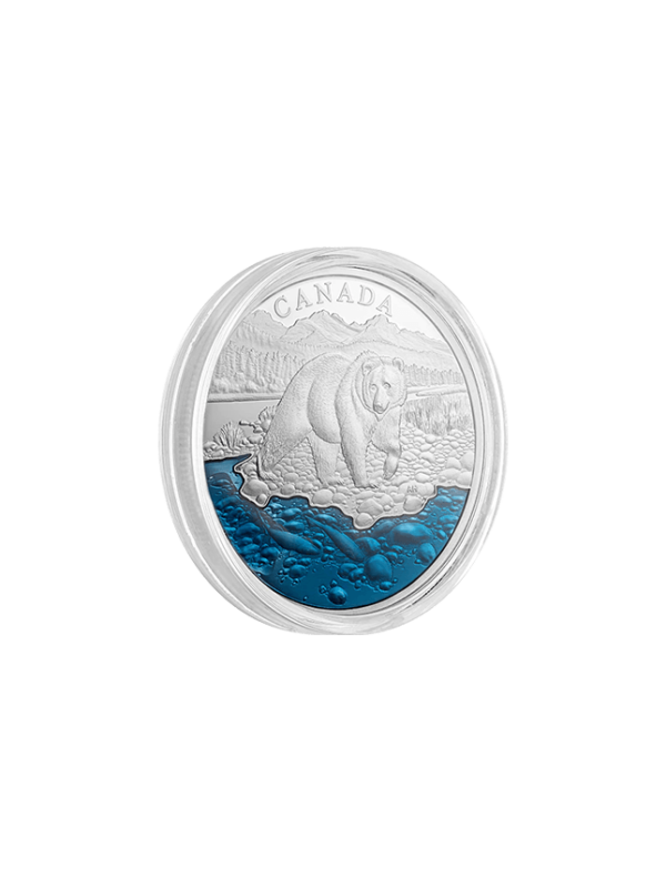 Pure Silver Grizzly Bear with Blue Enamel - Mintage 4,000 2017